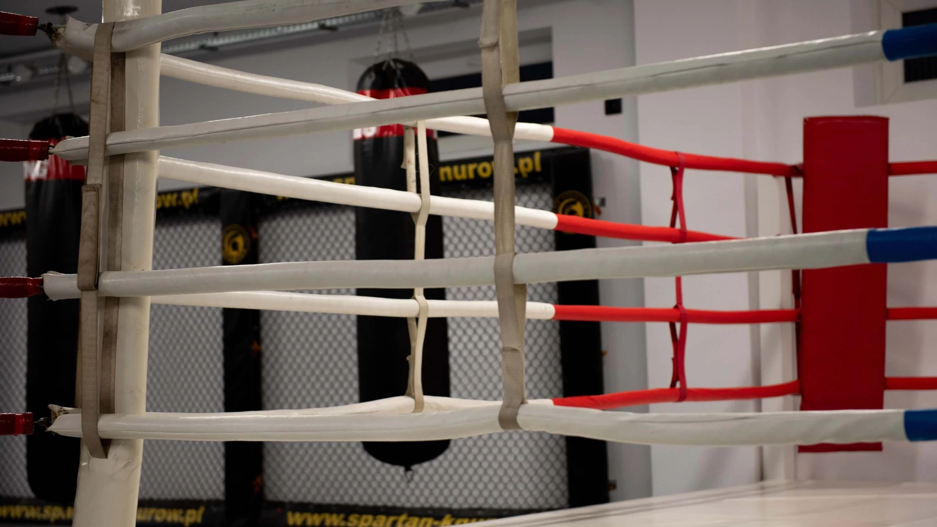 Trening w Spartan Team Knurów - zdjęcie 2 Trening w Spartan Team Knurów - zdjęcie 2