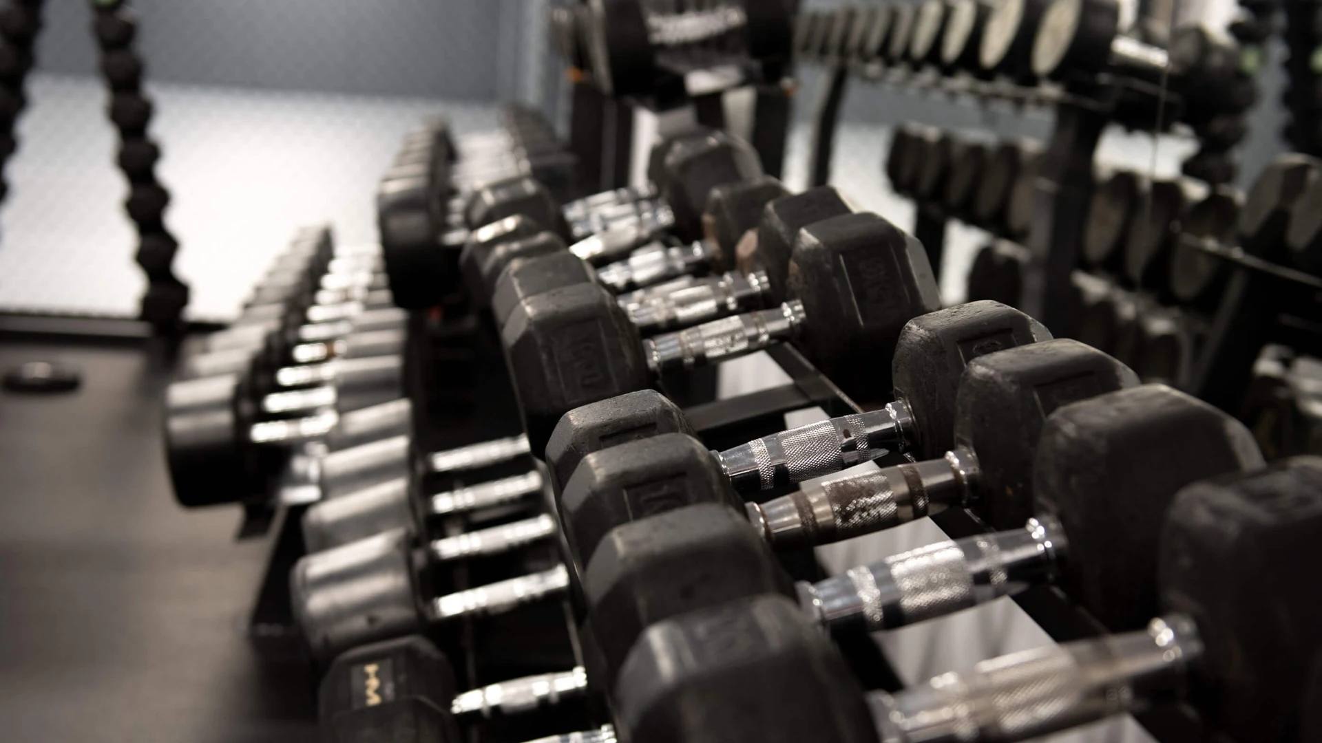 Trening w Spartan Team Knurów - zdjęcie 4 Trening w Spartan Team Knurów - zdjęcie 4